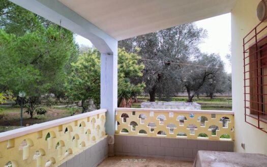 Oria Ref: 5011
